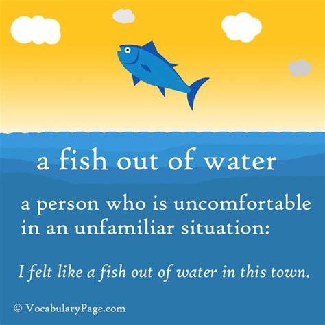 a fish out of water meaning, origin, example, sentence, history.